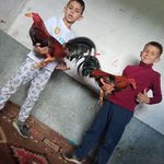 Daniel Virgil - @daniel.virgil.7547 - Instagram