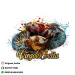 daniel virgo - @virgoes_betta - Instagram