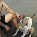 Danielvirgo Collao - @danielvirgocollao - Instagram