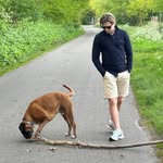 Daniel A. de Visser - @danieldevisser - Instagram