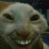 Daniel - @danielvit1_ - TikTok