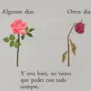 Daniel Vivar - @danielvivar5 - TikTok