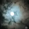 Daniel Vivi - @danielvivio - TikTok