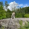 Daniella Voet de Kle - @daniellavoet - TikTok