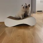 Daniel Vogl - @crzy_prototype - Instagram