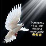 Daniel Voinea - @daniel.voinea.796 - Instagram