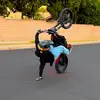 Daniel - @daniellvov - TikTok