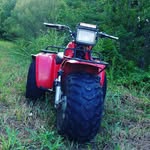 Daniel - @daniel_wake - Instagram