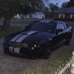 Daniel Waldorf - @waldorf.daniel - Instagram