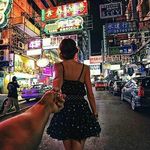 queen bee - @waldorfdaniel - Instagram