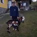 Daniel Wallner - Facebook
