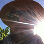 Daniel Wallner - @herr_wallner - Instagram