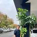 Daniel Wang - Facebook