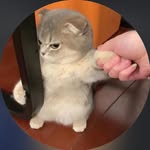Daniel Wang - @danielwang5369 - Instagram