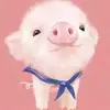 Daniel_Wang - @danielwang413 - TikTok