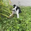 Daniel Ward - @daniel.ward32 - TikTok