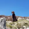 danielwardle79 - @danielwardle79 - TikTok