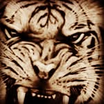 Dan - @daniel.warwick12 - Instagram