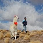 Daniel Watanabe - @watanabe.daniel - Instagram