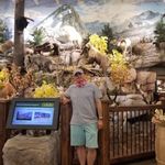 Daniel Watanabe - @seewatanabe - Instagram
