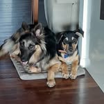 Daniel Waterson - @daniel.waterson.9 - Instagram