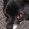 Daniel Watson - @daniel.watson3 - TikTok
