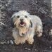 Daniel Wayman - Facebook