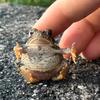 D@nny - @daniel.weatherly - TikTok