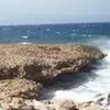 Daniel Webb632 - @danielwebb632 - TikTok