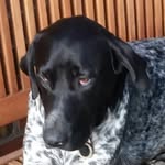Daniel Wegmann - @d_wegmn_ - Instagram