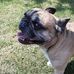 Daniel Wentzel - Facebook