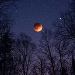 Daniel Wert - @hunter1a1 - Instagram