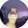 Daniel Wert - @danielwert_2772 - TikTok
