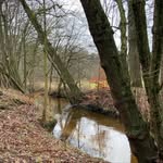 Daniel Westhoff - @rund_um_rheine - Instagram