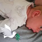 Daniel Wheat - @wheety1983a - Instagram