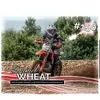 Daniel Wheat - @danielwheat8 - TikTok