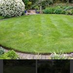 Daniel Whelan - @dansgardening100 - Instagram