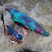 Daniel Whiteley - Facebook