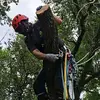 Daniel Whitesides - @daniel.whitesides - TikTok