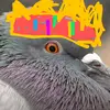 pidgesty - @danielwhitfield66 - TikTok