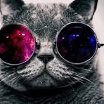 Daniel Whitham - Facebook