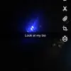 danielwhitham - @danielwhitam379 - TikTok