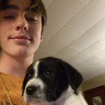 @daniel_whitson_ - Instagram