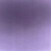 user4999244220113 - @daniellewhitted2 - TikTok