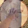Daniel Whitten - @d.j.whitten - TikTok