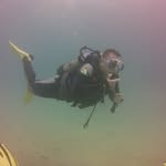 Daniel whittington - @daniel_whitty - Instagram