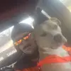 Daniel Wick413 - @danielwick25 - TikTok