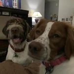 Daniel Seth Wicker - @seth_wick55 - Instagram