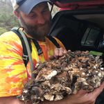 Daniel Wickham - @skunk_nugget - Instagram