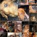 Daniel Wickham - Facebook